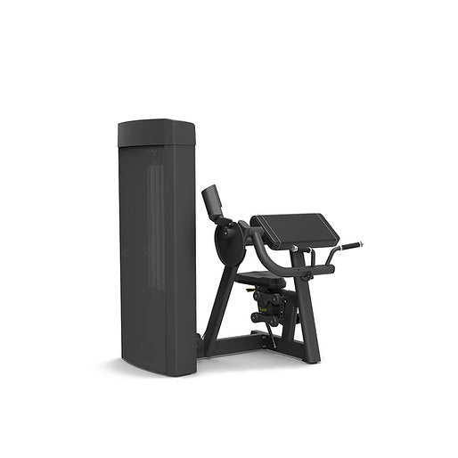 Spirit Fitness Bizeps Curl SP-4307