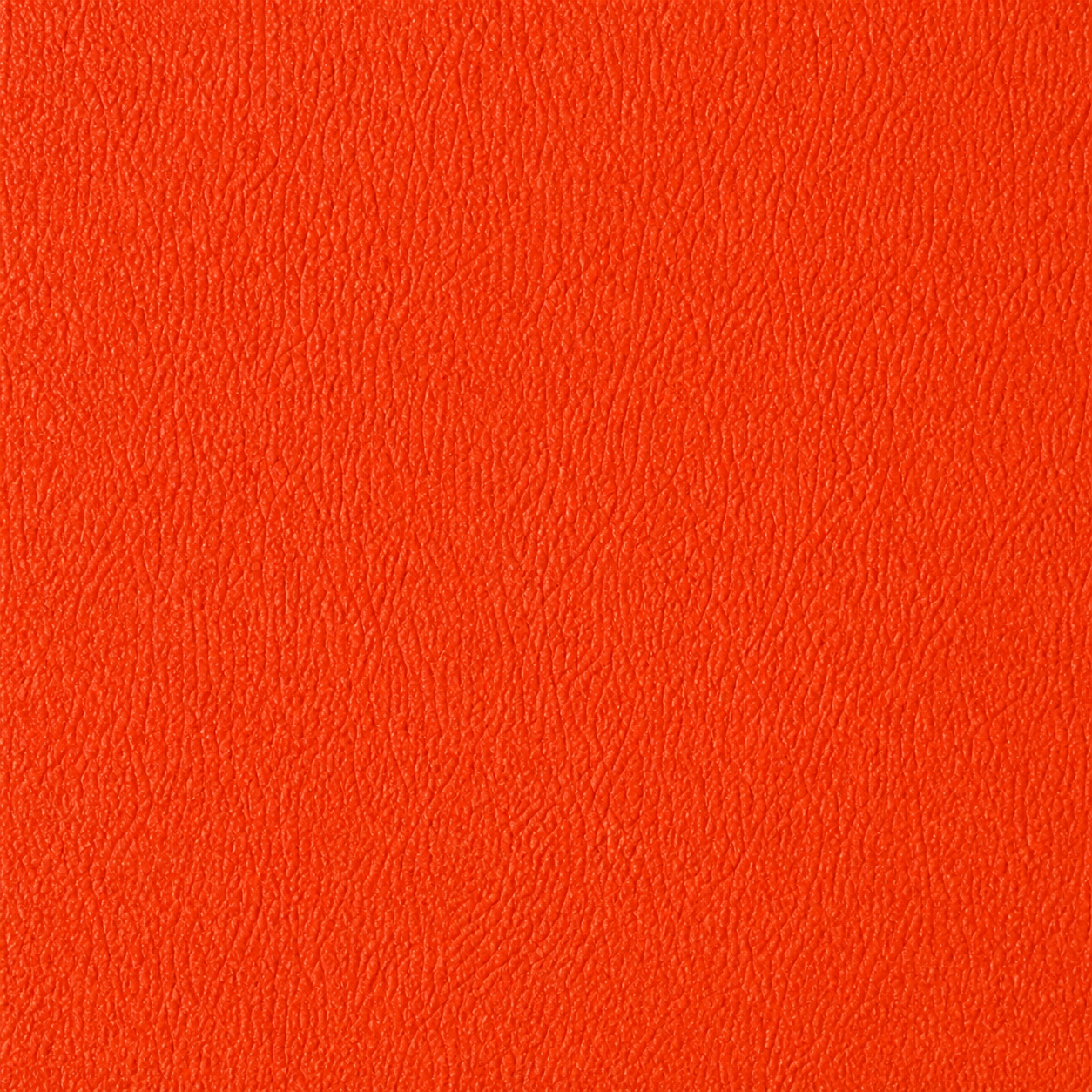 FIVE Five-Express Zirkel