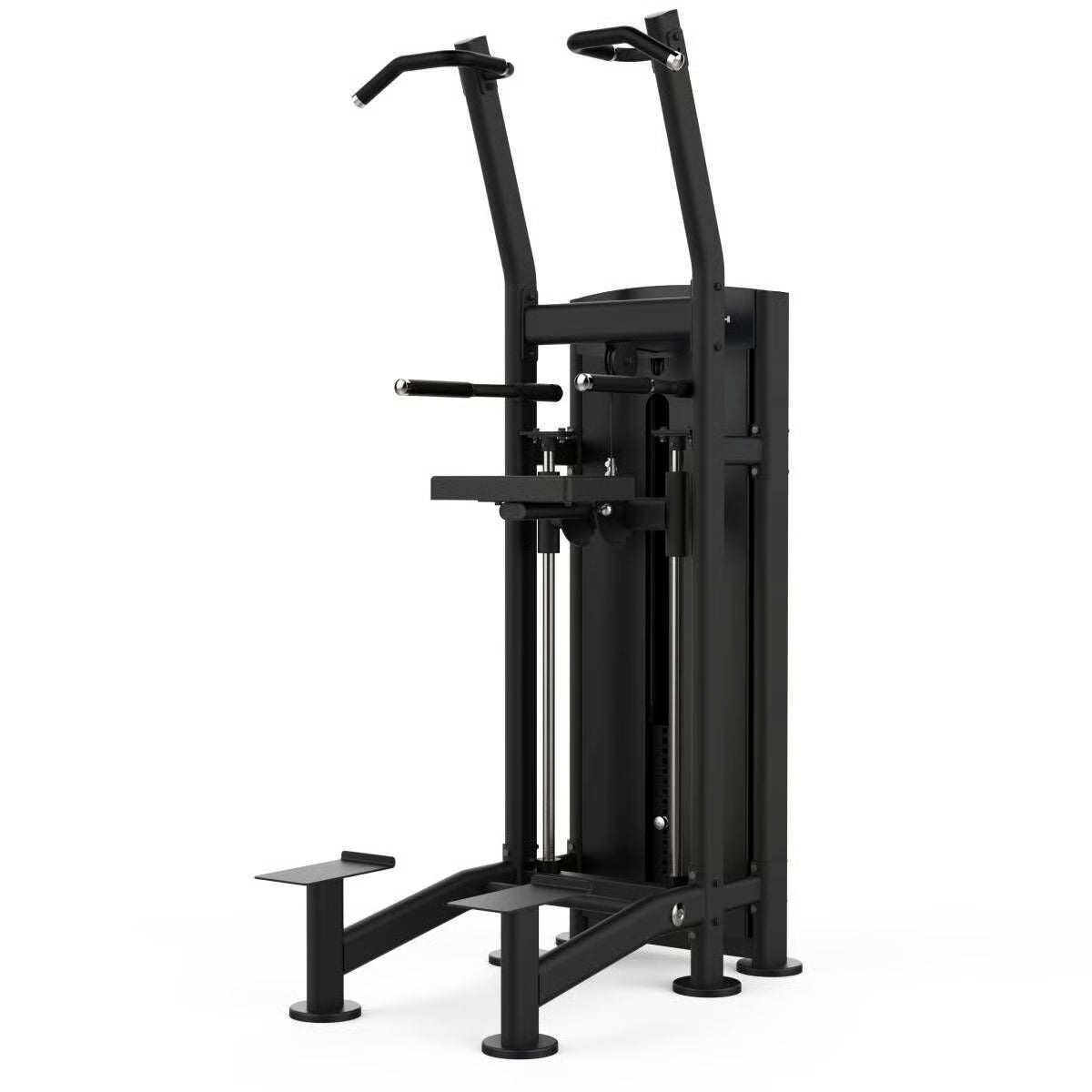 Titanium Strength Black Series Dip und Klimmzug Maschine