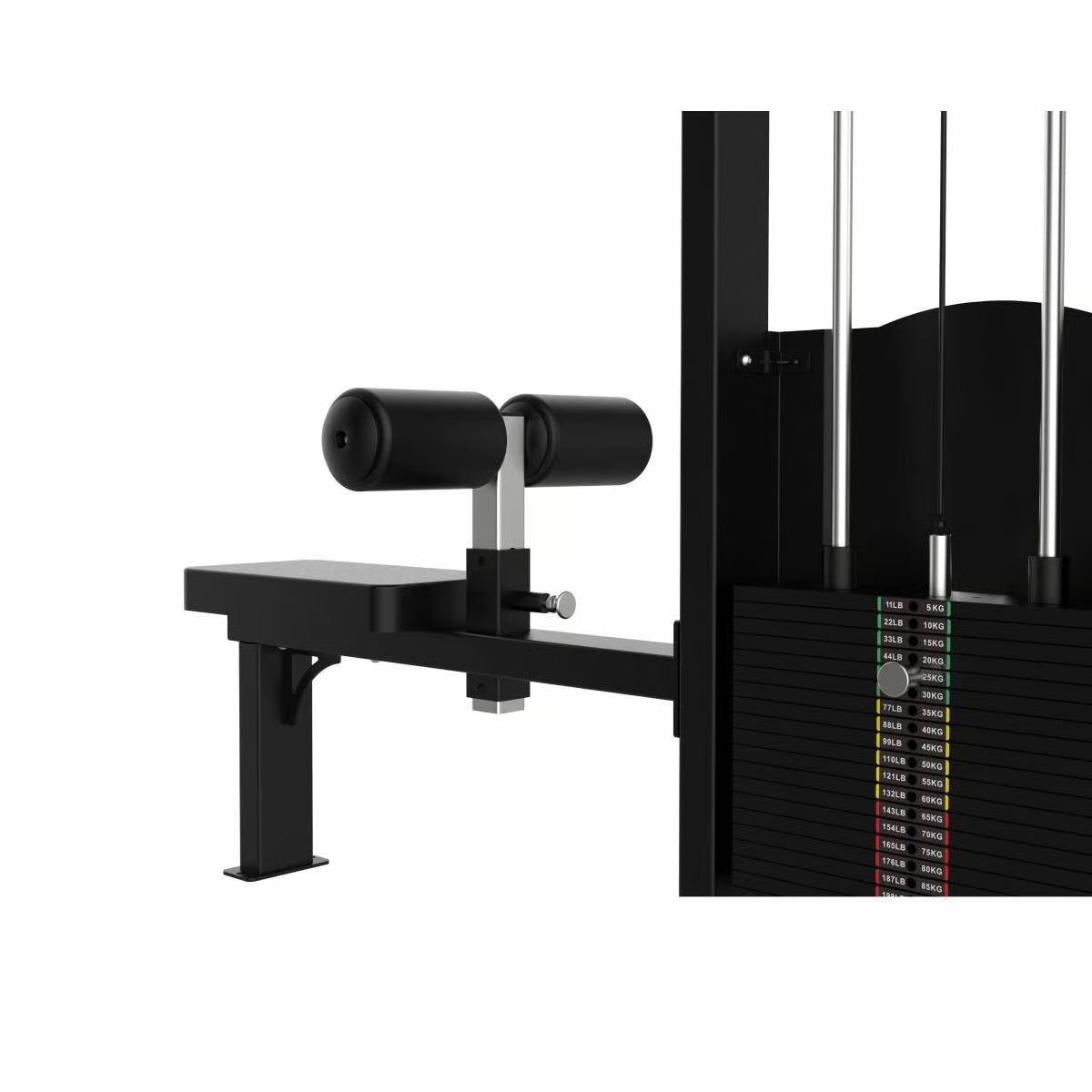 Titanium Strength Elite Series Latzug Maschine