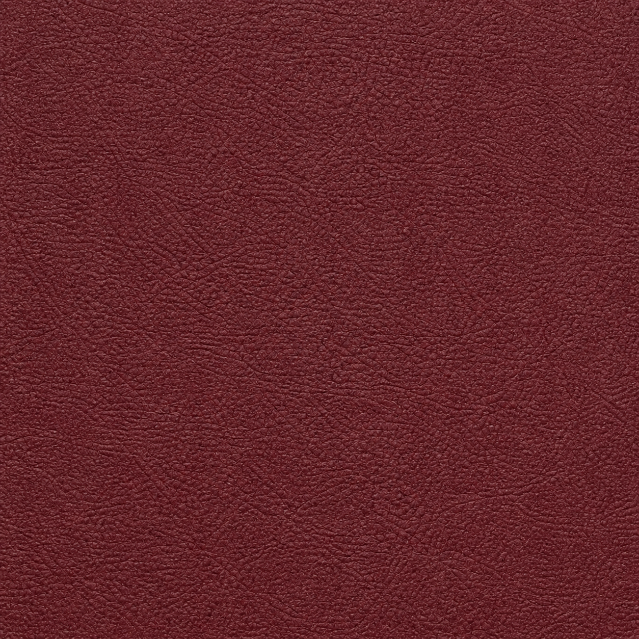 FIVE Five-Pro Chest