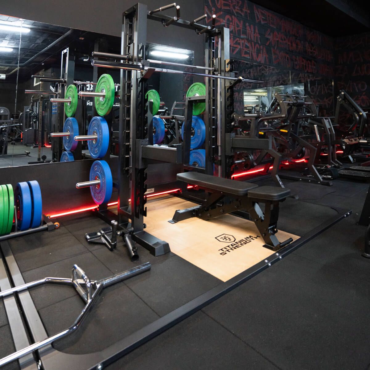 Titanium Strength Tatami Plattform für Kreuz- und Gewichtheben 2x3m