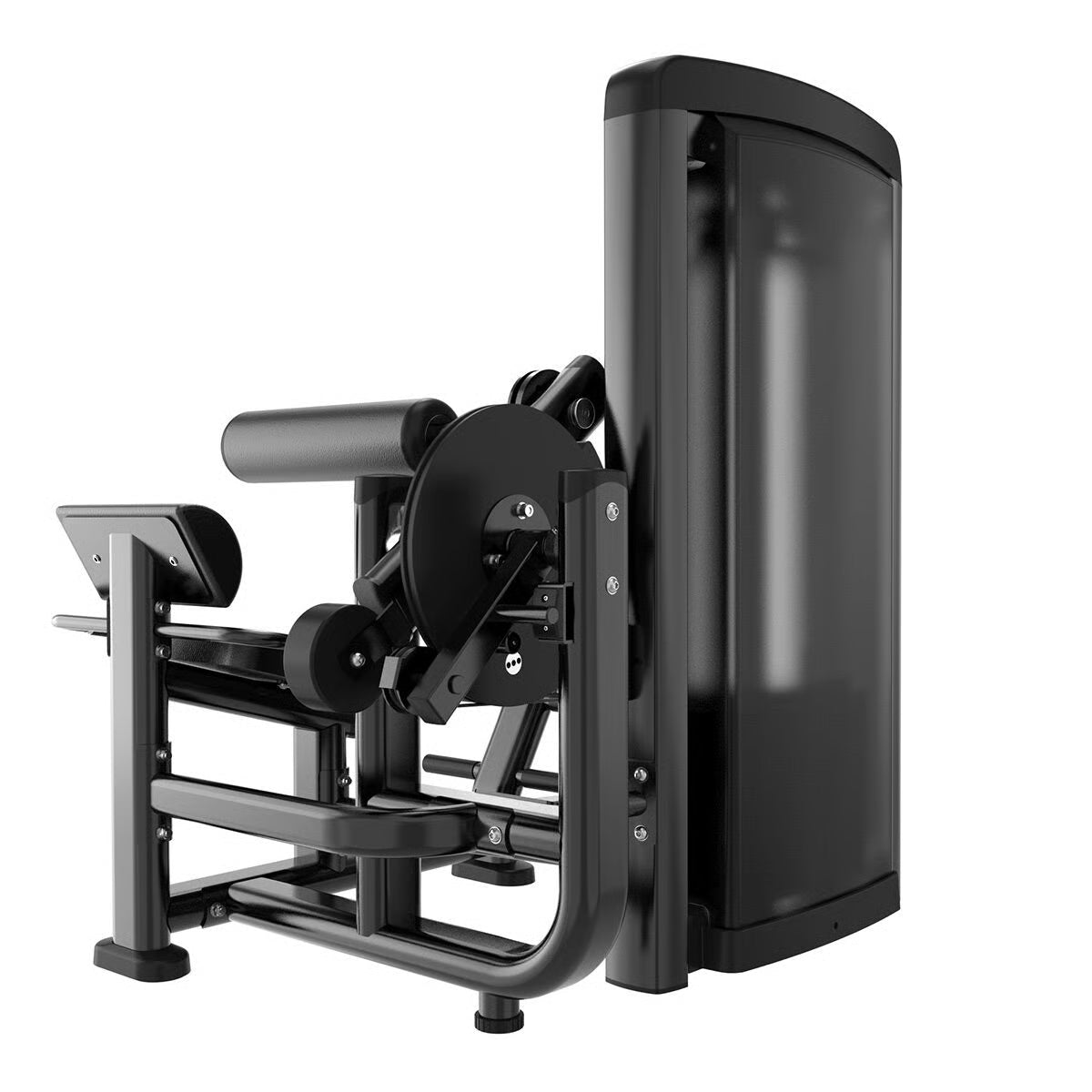 Titanium Strength Genesis Series Bauch und Rücken Maschine
