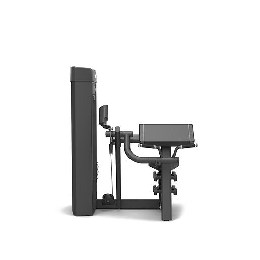 Spirit Fitness Bizeps Curl SP-4307
