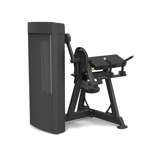 Spirit Fitness Bizeps Curl / Trizeps Extension SP-4607