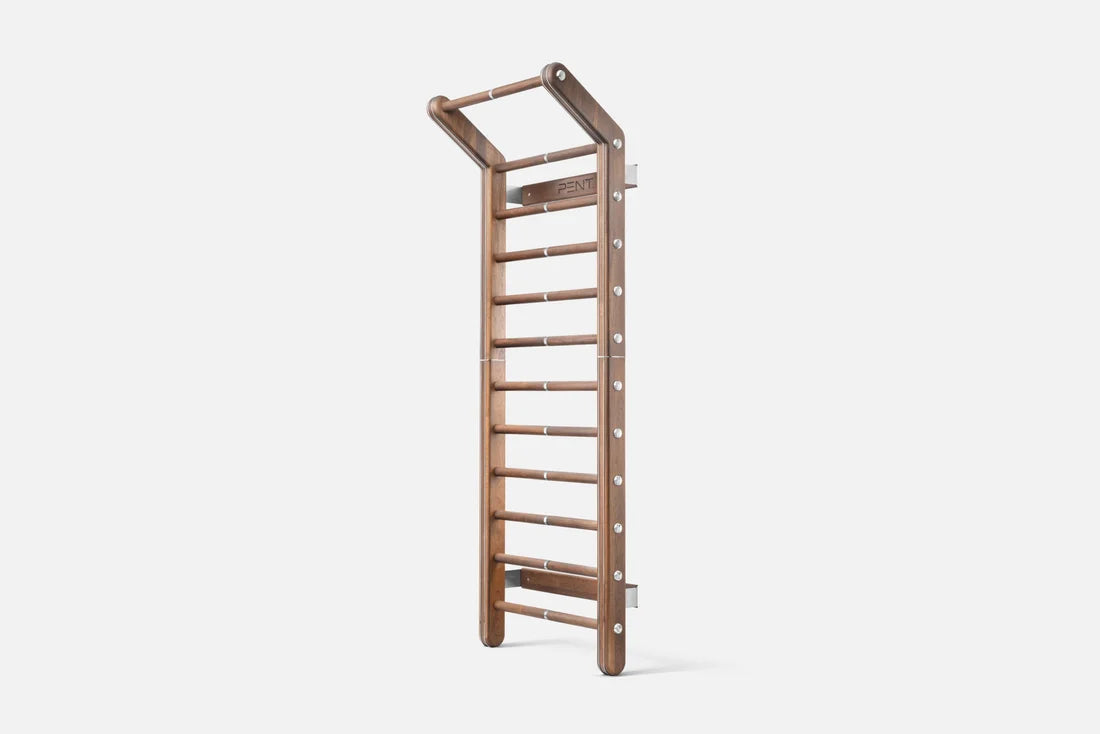 PENT. SCALA Fitness Sprossenwand