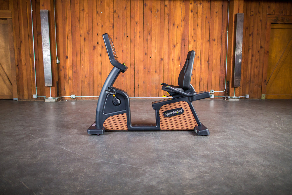SportsArt ECO-NATURAL Status Line Liegeergometer C576R