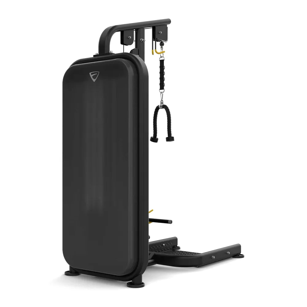 Vision Fitness Bizeps / Trizeps Stack Weight