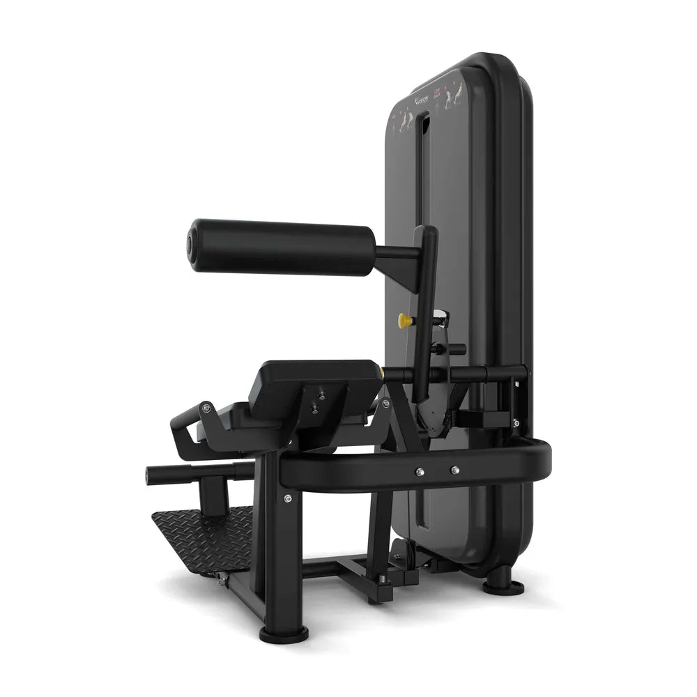 Vision Fitness Rückenstrecker / Bauchmaschine Stack Weight