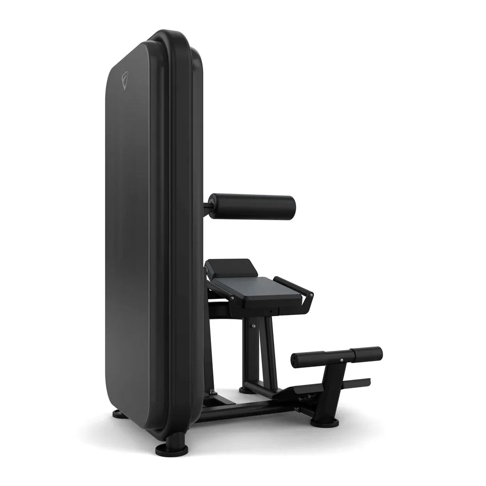 Vision Fitness Rückenstrecker / Bauchmaschine Stack Weight