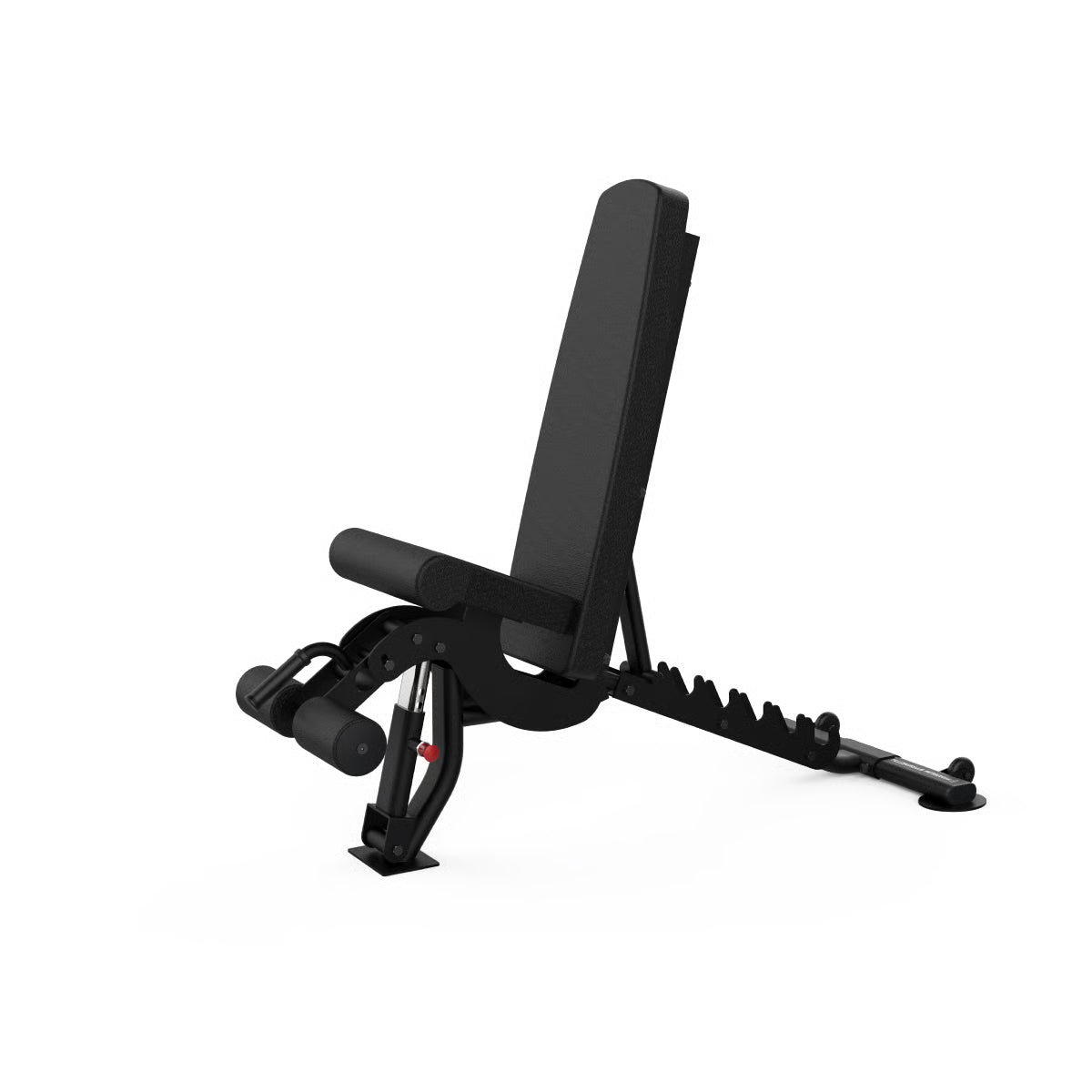 Titanium Strength Black Series FID Multifunktionsbank