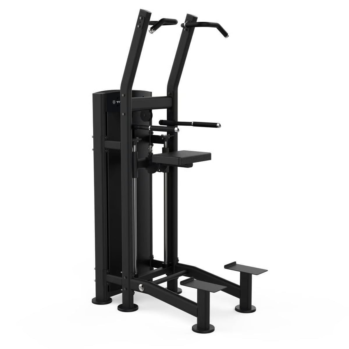 Titanium Strength Black Series Dip und Klimmzug Maschine