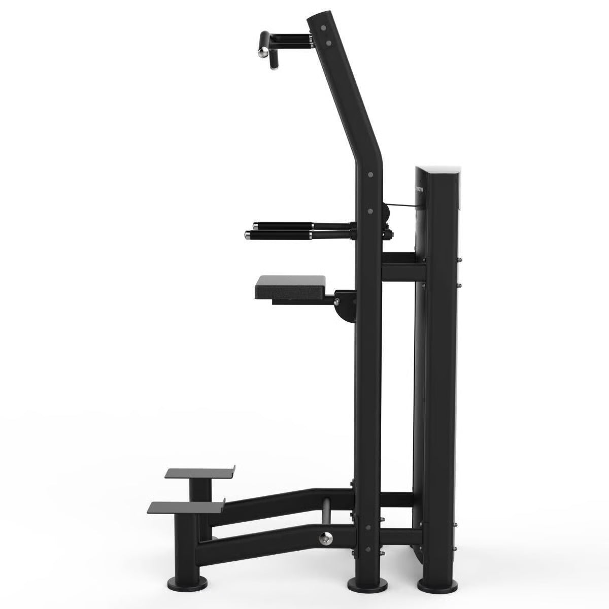 Titanium Strength Black Series Dip und Klimmzug Maschine