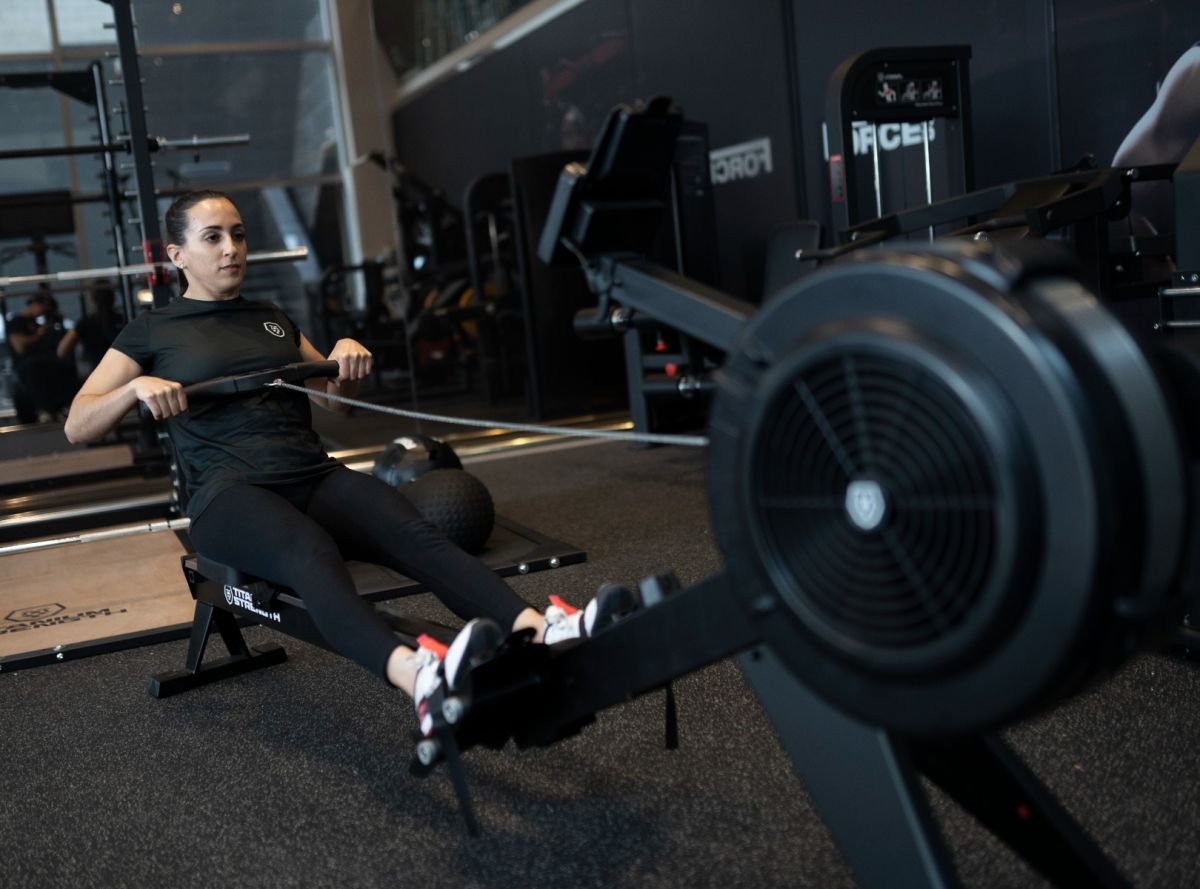 Titanium Strength Air Rower Rudergerät
