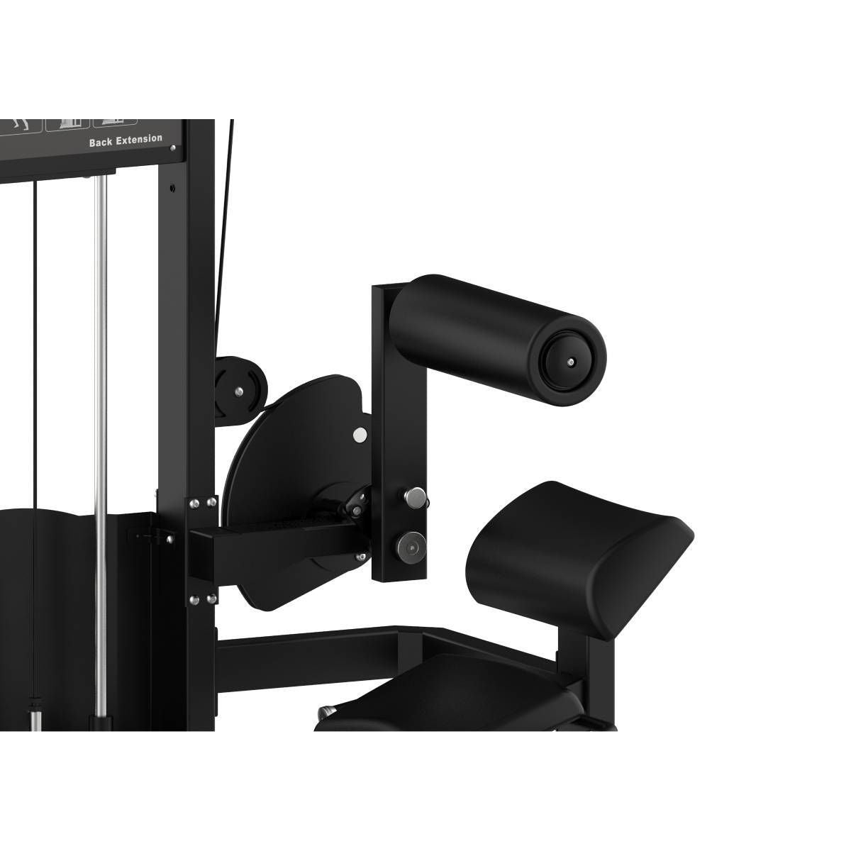 Titanium Strength Elite Series Rückenstrecker