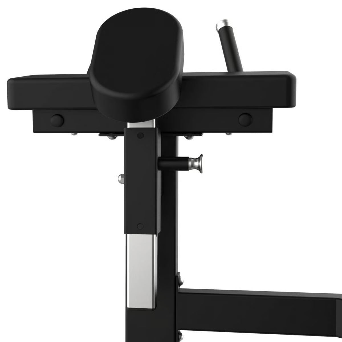 Titanium Strength Elite Series Gluteus Maschine