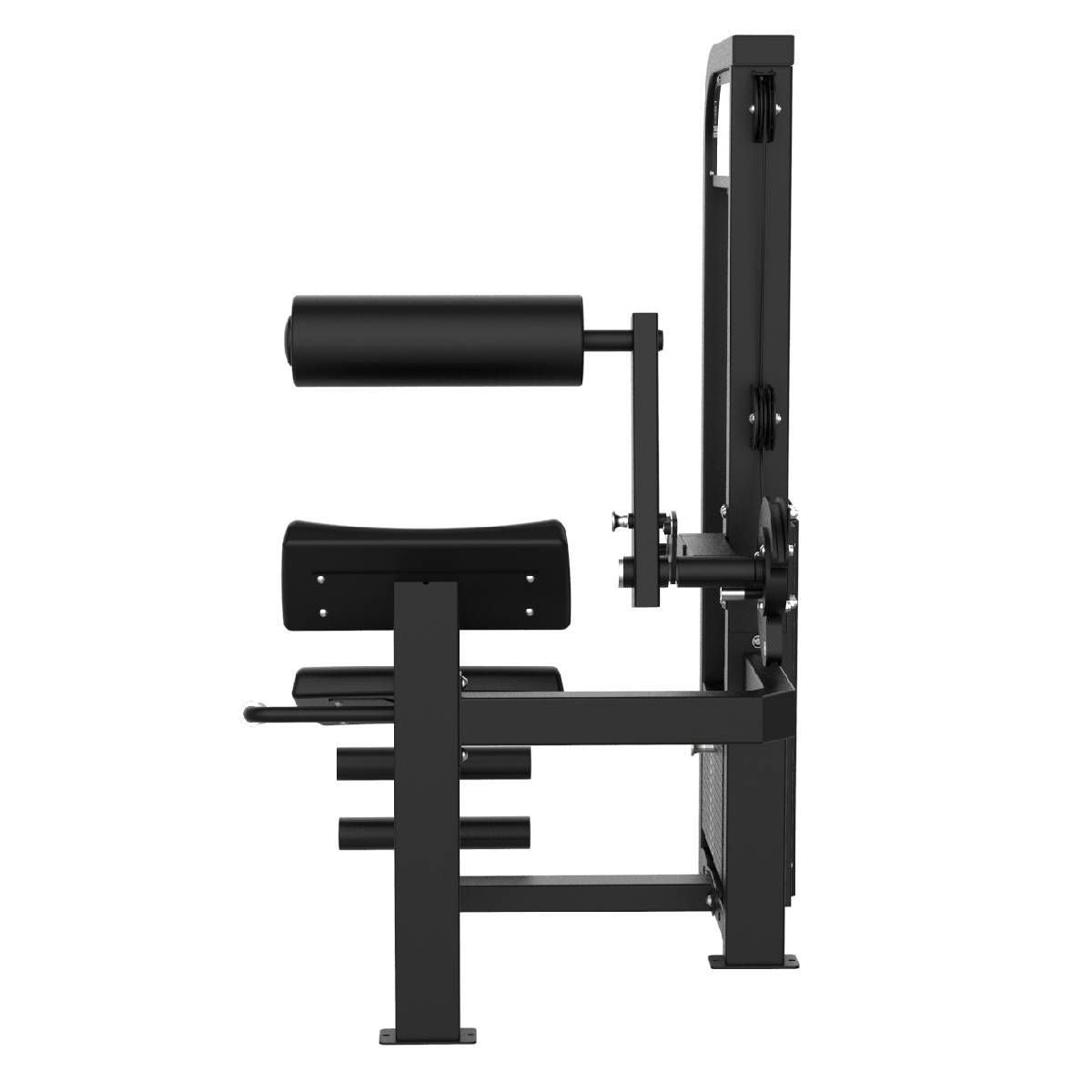 Titanium Strength Elite Series Bauchmuskel Maschine