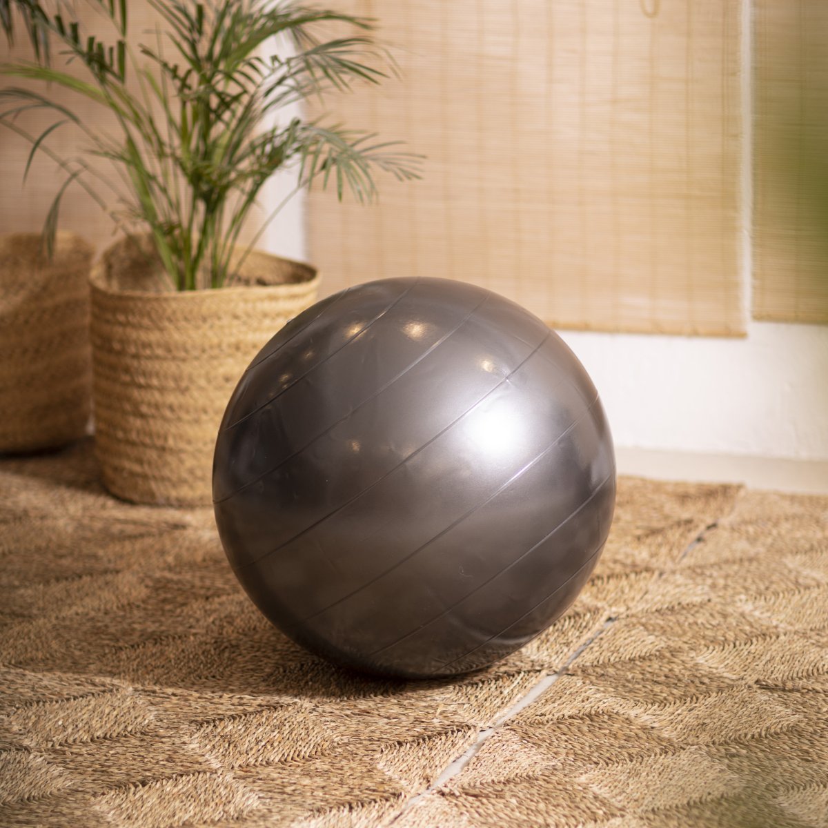 Elina Piates Fitness Ball – Ansicht 2 — Pilates Zubehör | Elina Pilates