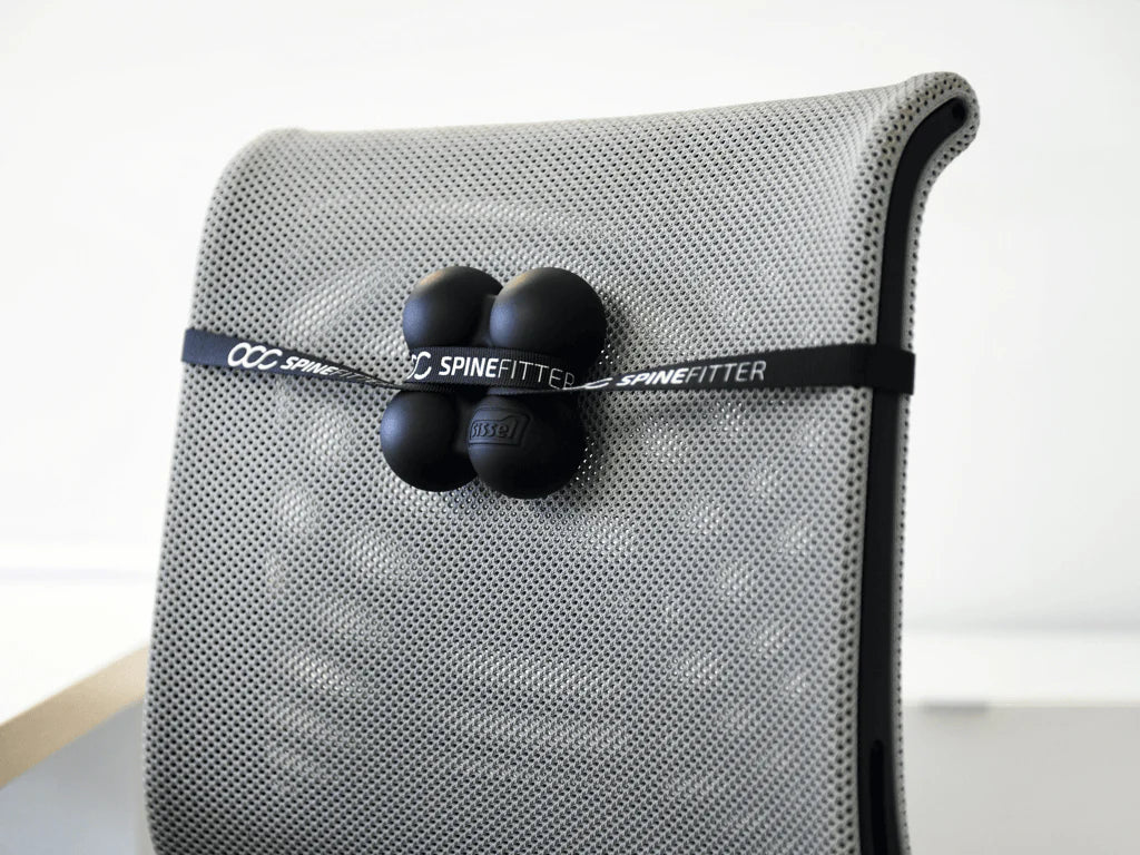 Sissel Spinefitter Mini oder Multiextension Kit